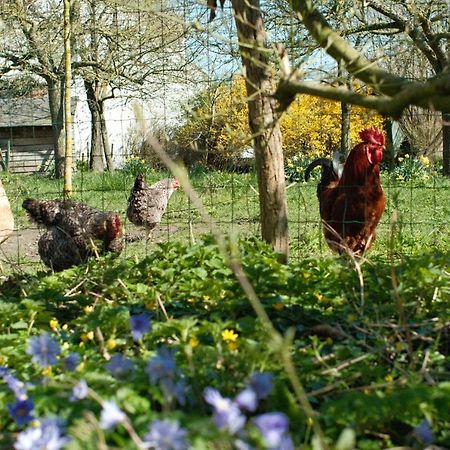 In Den Akker Villa Oudenaarde Dış mekan fotoğraf