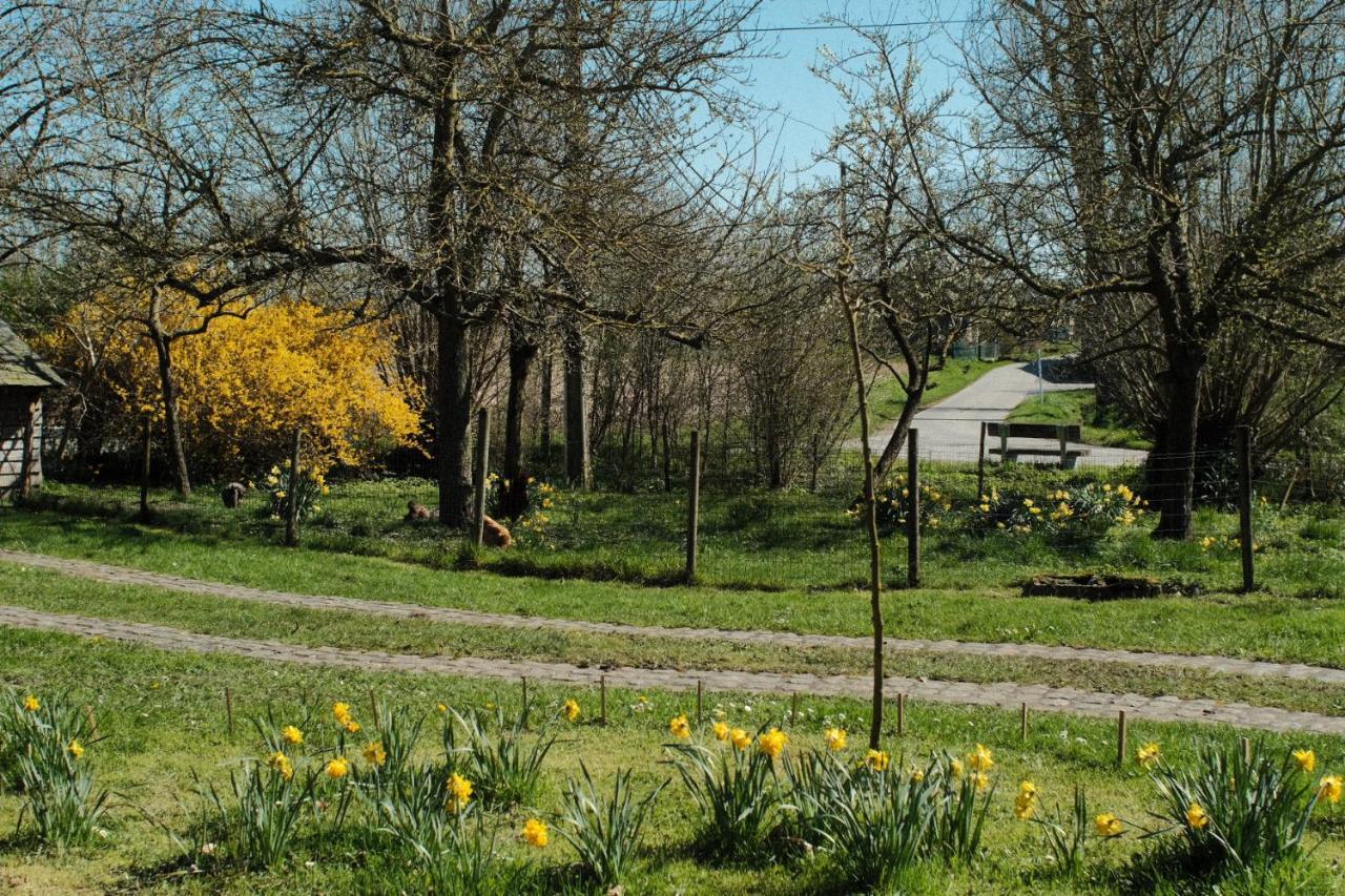 In Den Akker Villa Oudenaarde Dış mekan fotoğraf